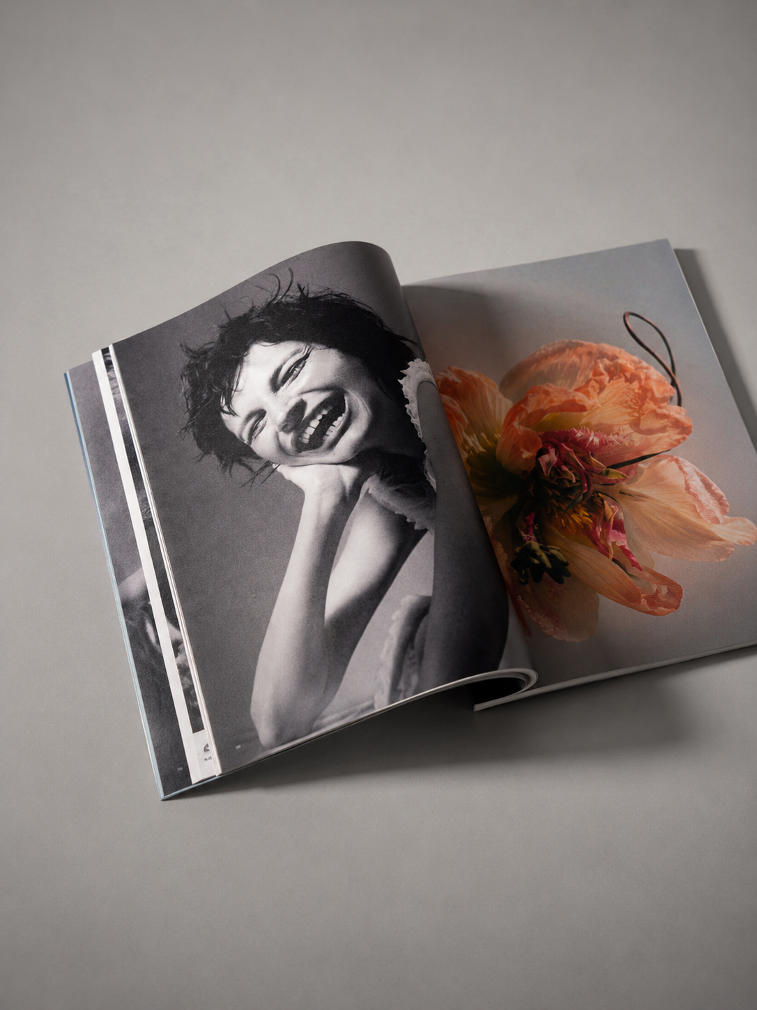 Magazines