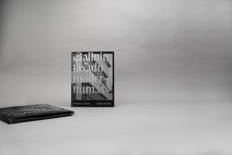 1Galiniu-fasadu-modernumas-book-architecture- 44208