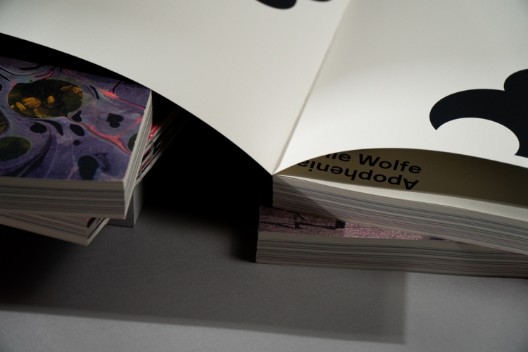 2Apophenia-art-book-44439.jpg 