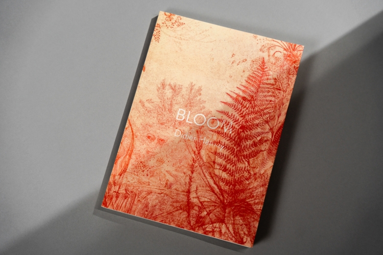 Bloom