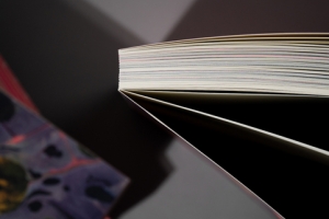 10Apophenia-art-book-44439.jpg 
