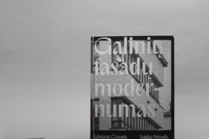4Galiniu-fasadu-modernumas-book-architecture- 44208