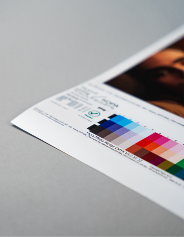 pantone